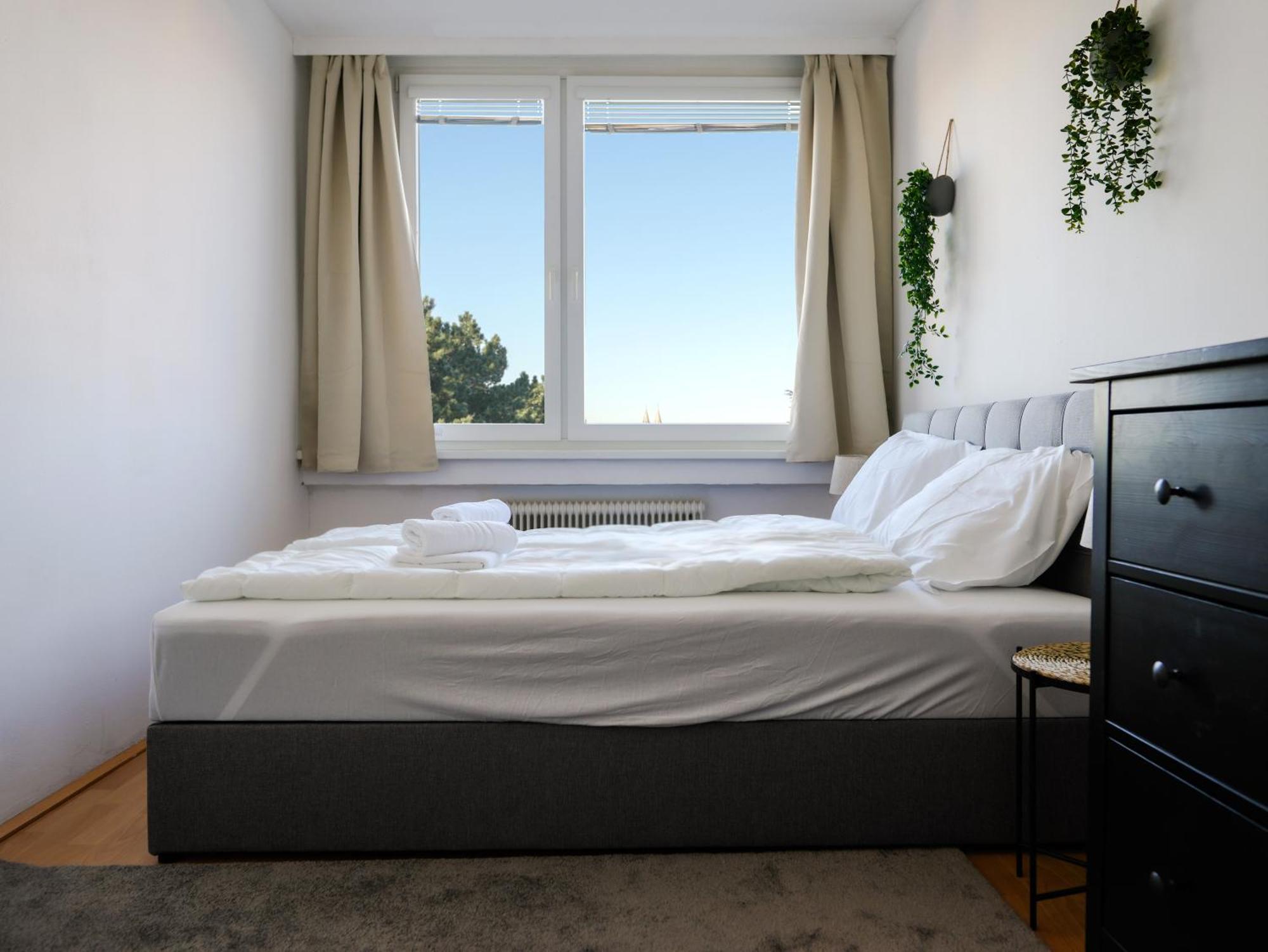Spacious Apartments With View & Free Parking Wiener Neustadt Exterior photo